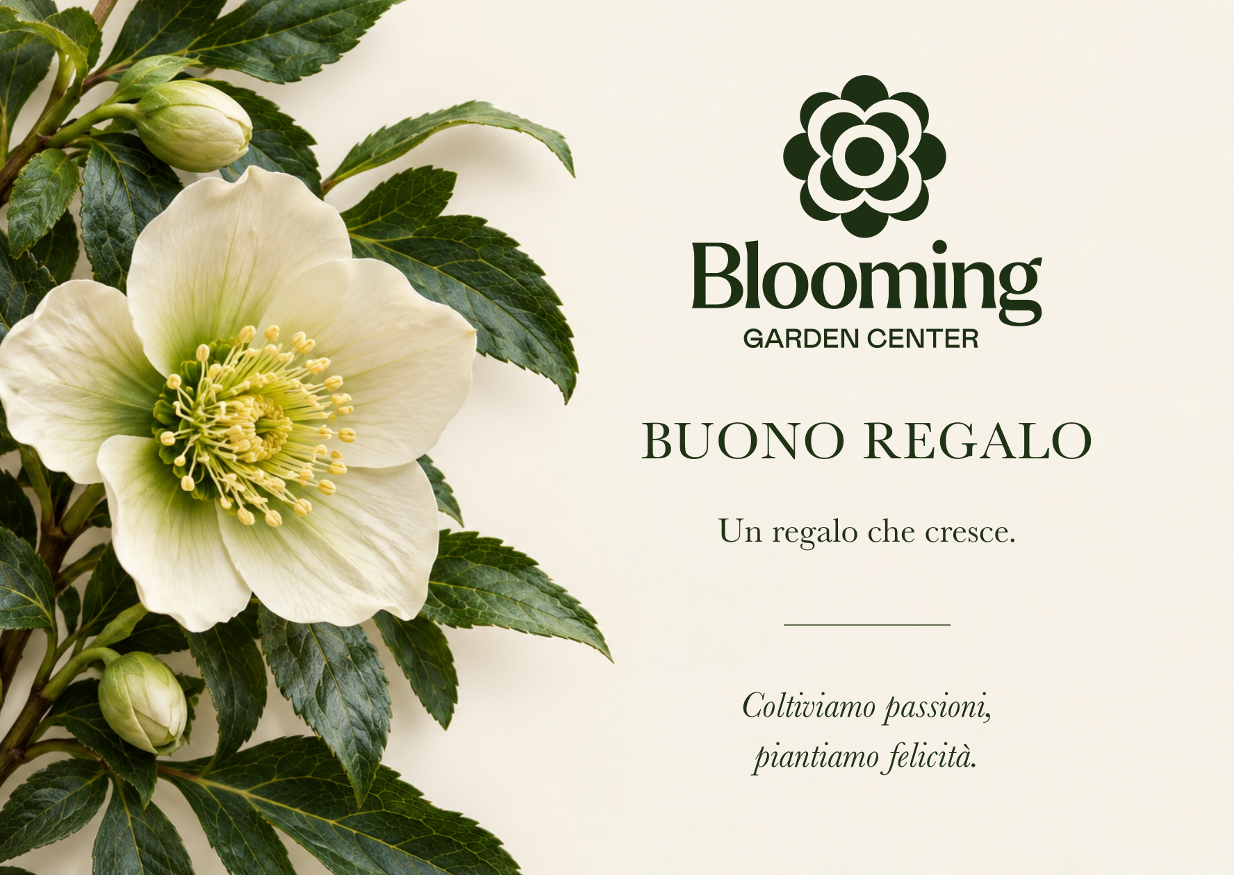 Buono regalo Blooming — grafica approvata revisione 08