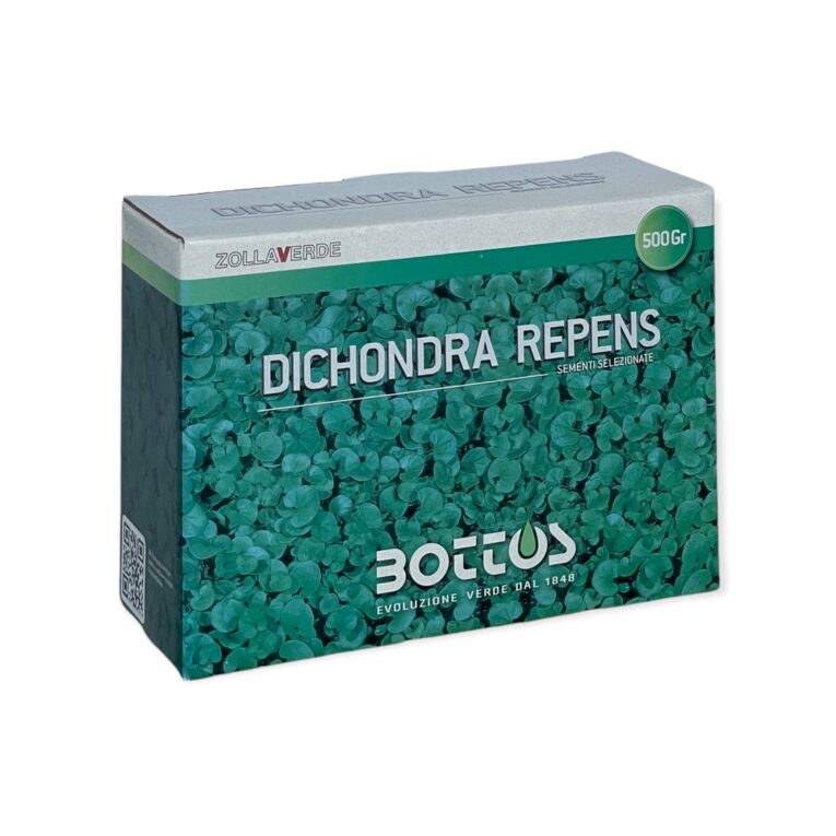 Dichondra-repens-bottos.jpg.jpg