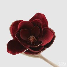 Magnolia vell.C/clip.D18