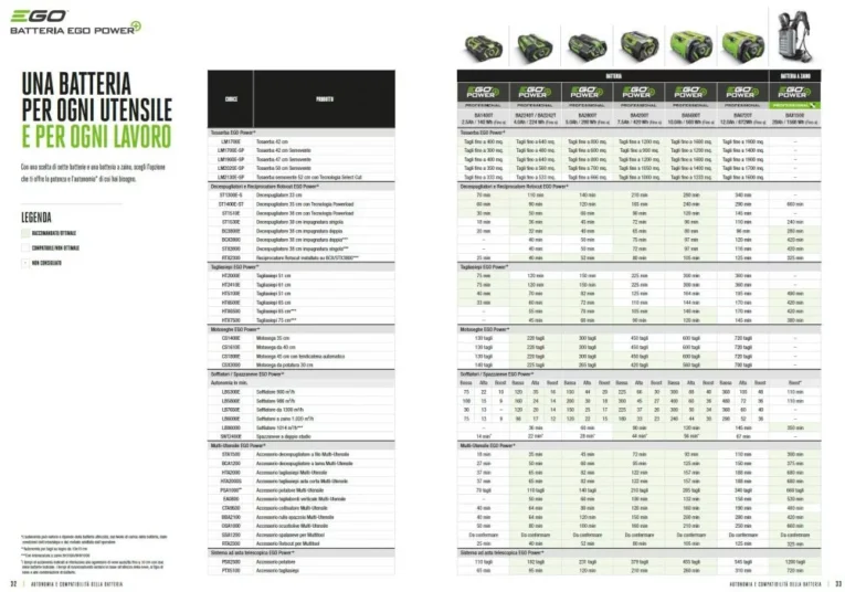 ego-batterie-1000x700 (1)