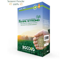 Bottos - Royal Strong Plus Bottos - 1Kg Sementi conciate professionali per prato resistente alle malattie