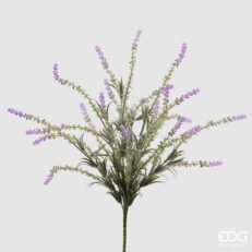 EDG Lavanda Chic Cesp.X7 H40