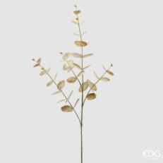 Ramo di UEucalipto EDG H 89 cm