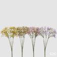 Gypsophila Cespuglio con 5 steli EDG 4 colori disponibili H.40