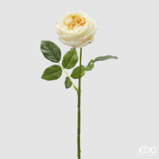 Rosa Elide Ramo Con Foglie H.45 C5