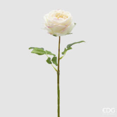 Rosa Elide Ramo Con Foglie H.45 C5