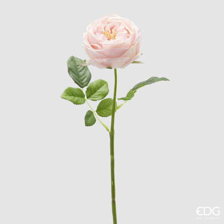 Rosa Elide Ramo Con Foglie H.45 C5