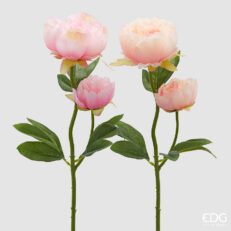 Peonia Ramo X2 Con Foglie 2 Ass. H.55 C5