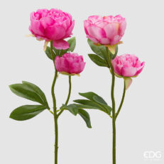 Peonia Ramo X2 Con Foglie 2 Ass. H.55 C5