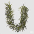Cryptomeria Festone L.210 C5